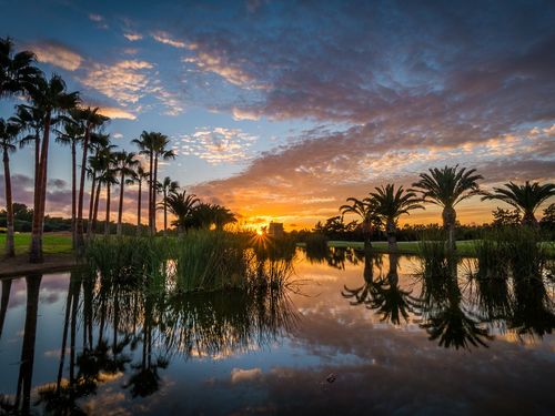 Poniente Golf Mallorca Zon Vijver