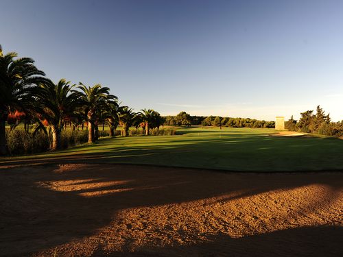 Puntiro Golf Mallorca Bunker Bomen