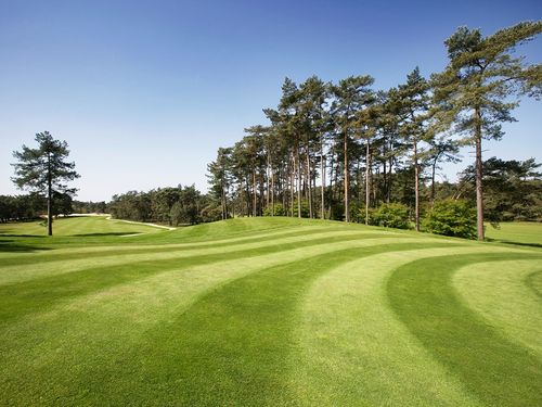 Rijk Van Nunspeet Golf Nederland Veluwe Fringe