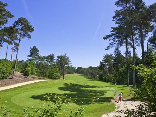Rijk Van Nunspeet Golf Nederland Veluwe Green