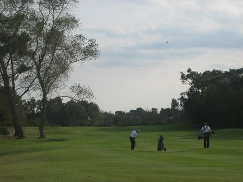 Royal Zoute Belgie Brugge Golfbaan Zoute Fairway