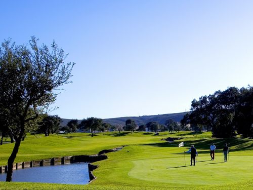 Sanroque Golfers Green18