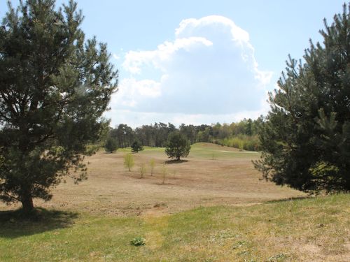 Scherpenberg Golf Nederland Veluwe Zand