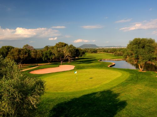 Son Antem East 12th Back