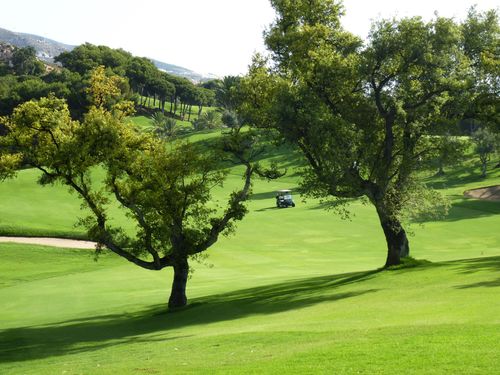 Torrequebrada Golf Spanje Costa Del Sol Buggy Hole5