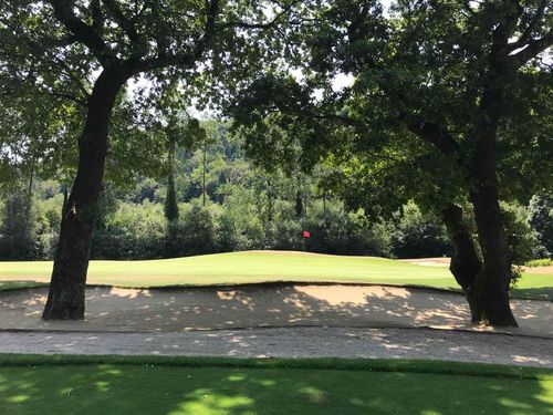 Woodenbridge Golf Club Golfreizen Golfvakantie Green