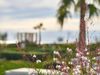 Hyatt Place Taghazout Bay Garden Detailjpg