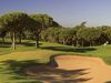 Pinheiros Altos Pines 8th