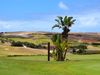 Porto Santo Golf Madeira 4