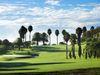 Real Club De Golf De Las Palmas Fairway2.JPG