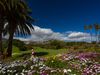 Real Club De Golf De Las Palmas Golfer