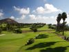 Real Club De Golf De Las Palmas Golfers