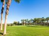 Spanje Costa Blanca Campoamor Golf Palmbomen