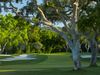 Valderrama Golf Costa Del Sol Spanje Green Bomen