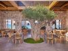 W_Costa_Navarino_ _Parelia_Beach_Club_1