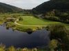 Woodenbridge Golf 2