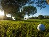 Alenda Golf Spanje Costa Blanca Bomen
