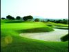 Almenara Golf Spanje Costa Del Sol Green