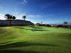 Anfi Tauro Golfbaan Grancanaria Green Palmboom