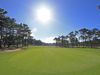 Aroeira 1 Golf Portugal Lissabon Green