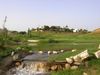Cabopino Golf Spanje Costa Del Sol Green Hole14