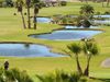 Costa Adeje Golf Tenerife Vijver 2