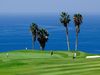Costa Adeje Golf Tenerife Zee Palmboom
