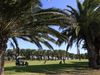 Costa Teguise Golf Lanzarote Buggy