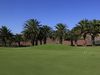 Costa Teguise Golf Lanzarote Palmbomen