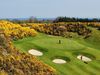 Druids Heath Golfbaan Ierland Wicklow Struiken
