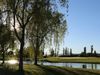 El Olivar De La Hinojosa Golf Spanje Madrid Boom.JPG