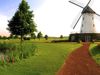 Elfrather Muehle Golfbaan Duitsland Munsterland Molen Pad