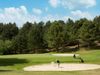 Frankrijik Noordfrankrijk Golfbaan Belledune Golfer Bunkerslag