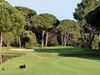 Frankrijk Cotedazur Golfbaan Golfdevalescure Approach Fairway Pijnbomen