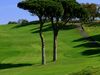 Frankrijk Cotedazur Golfbaan Saintmaxime Bunker Fairway Pijnbomen.JPG