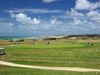 Frankrijk Noordfrankrijk Golfbaan Wimereux Green Kust