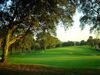 Girona Golf Spanje Costa Brava Green Bomen