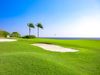 Golf_extra_feb_2025 15