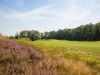 Golfclub Het Woold 6