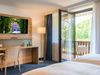 Hotel Idingshof Duitsland Grensstreek Junior Suite Tv