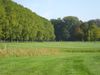 Kampenhout Golfbaan Belgie Vlaanderen Fairway Bomen