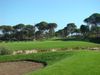 Kaya Golf Turkije Belek Bunker Green.JPG