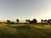 Maioris Golf Mallorca Bomen Green