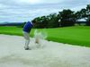 Murrayshall Lynedoch Course Golf Schotland Perthshire Bunker