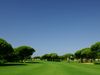 Novo Sanctipetri Golf Spanje Costa De La Luz Zuid Bomen