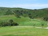 Parque Da Floresta Golf Portugal Algarve Green.JPG
