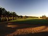 Puntiro Golf Mallorca Bunker Bomen