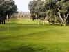 Robledal Golf Spanje Madrid Green Bomen.JPG