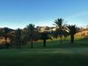Salobre South Golfbaan Grancanaria Palmbomen