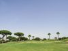 Sancti Petri Hills Golf Spanje Costa De La Luz Zuid Green